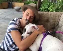 The actor is an animal lover especially dogs.